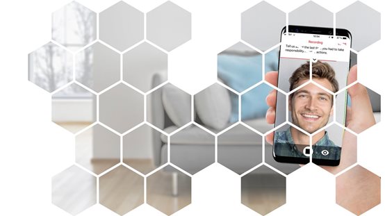 Image hexagons with vidAssess screenshot